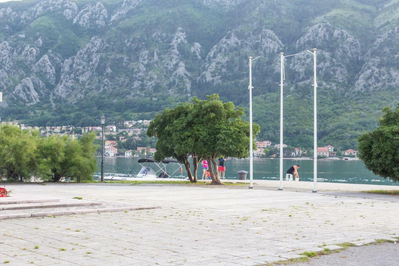 Apartman Kotor *