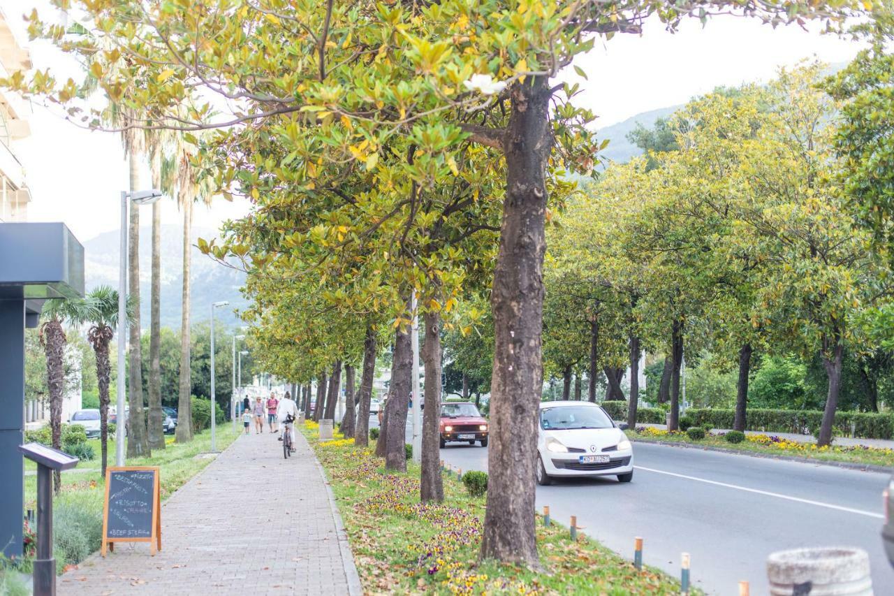 Apartman Kotor *