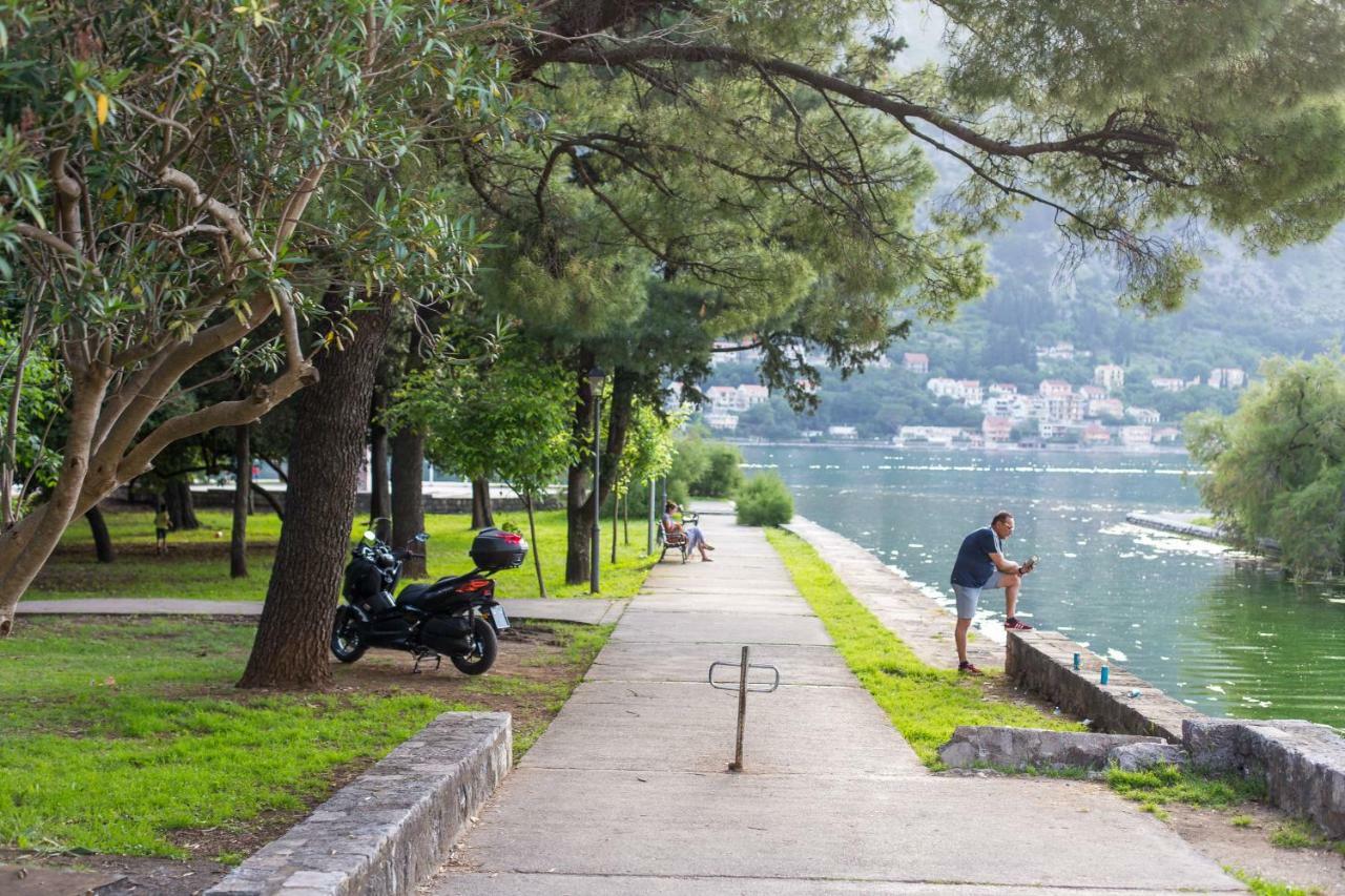 Apartman Kotor *